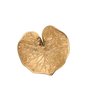 Silent Bloom Brooch